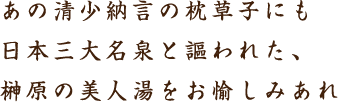 あの清少納言の枕草子にも日本三大名泉と謳われた、榊原の美人湯をお愉しみあれ
